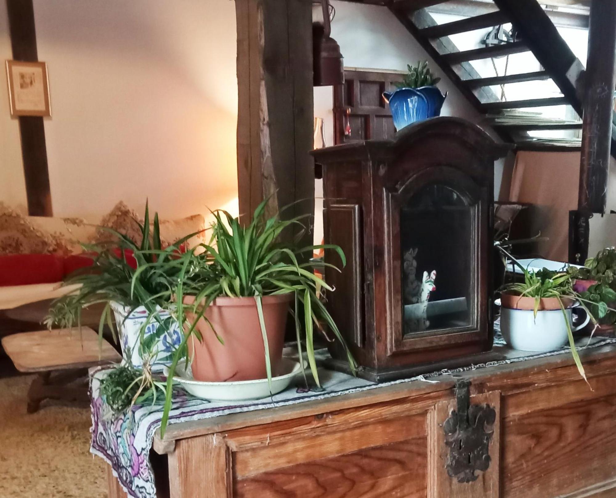 Suite En Cuadra Pajar, Casa Rural Hoz de Jaca Ngoại thất bức ảnh